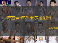 特雷普卡VS維爾拉尼姆