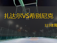 扎達(dá)爾VS希別尼克