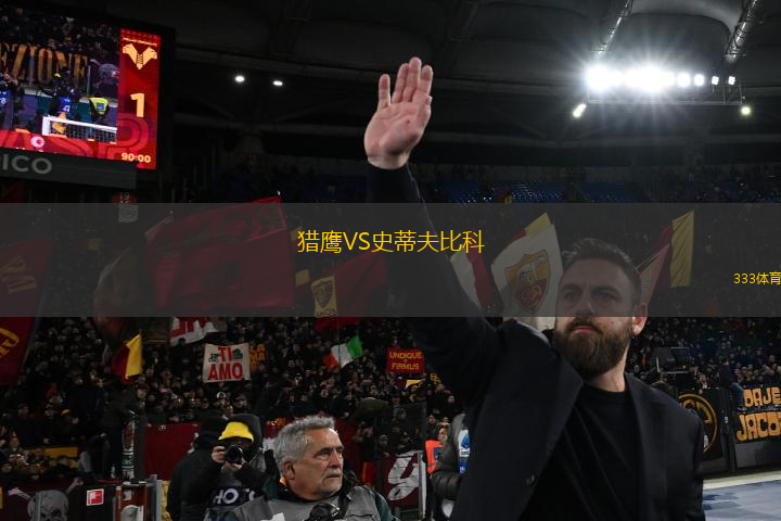 獵鷹VS史蒂夫比科
