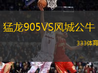 猛龍905VS風(fēng)城公牛