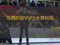 鳥棲砂巖VSRB大宮松鼠