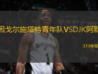 因戈爾施塔特青年隊VSDJK阿默