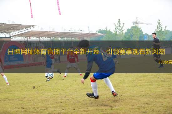 日博網(wǎng)址體育直播平臺全新開幕，引領(lǐng)賽事觀看新風(fēng)潮