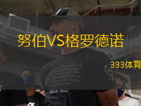 努伯VS格羅德諾