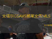 文塔爾GSAVS朗萊文佩MLS