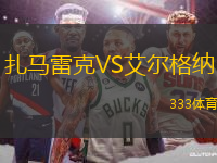 扎馬雷克VS艾爾格納