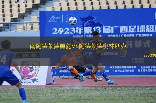 南阿德萊德黑豹VS阿德萊德奧林匹克
