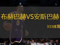 布赫巴赫VS安斯巴赫