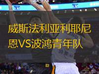 威斯法利亞利耶尼恩VS波鴻青年隊
