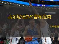 古爾尼恰IIVS雷布尼克