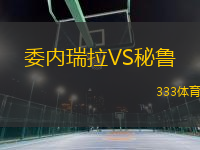 委內(nèi)瑞拉VS秘魯
