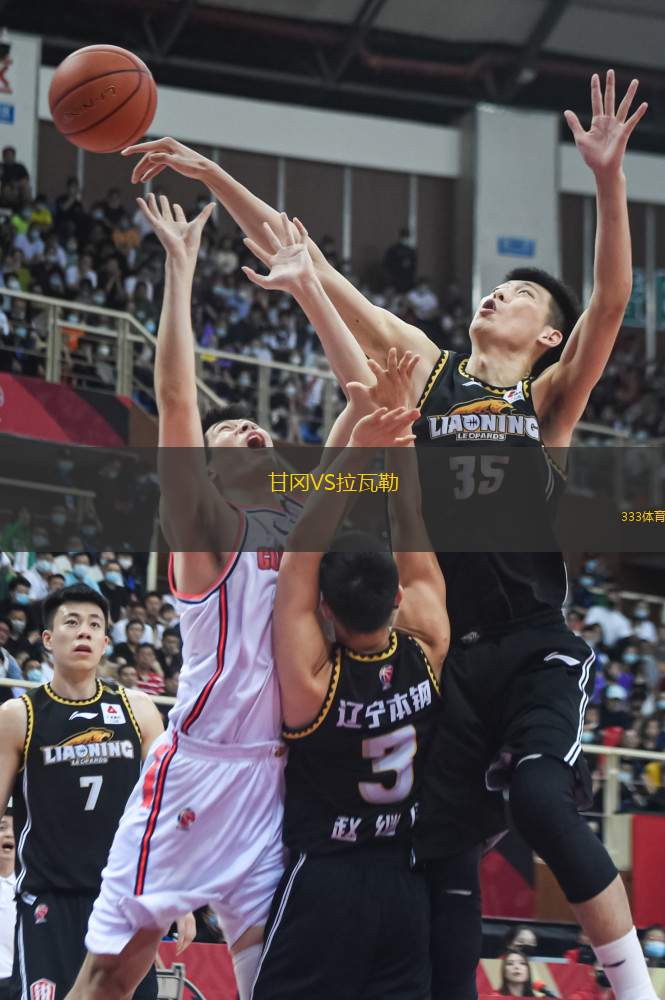 甘岡VS拉瓦勒