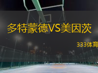 多特蒙德VS美因茨