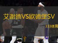艾謝德VS歐德堡SV