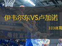 伊韋爾東VS盧加諾
