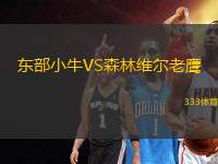 東部小牛VS森林維爾老鷹