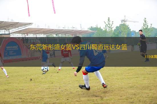 東莞新彤盛女籃VS四川蜀道遠(yuǎn)達(dá)女籃
