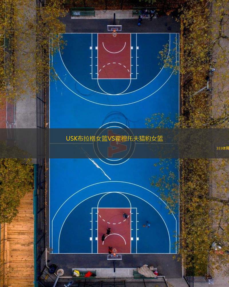 USK布拉格女籃VS霍穆托夫獵豹女籃