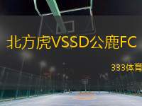 北方虎VSSD公鹿FC