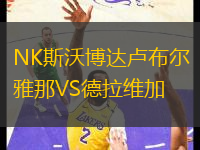 NK斯沃博達(dá)盧布爾雅那VS德拉維加