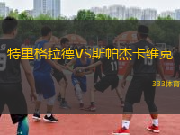 特里格拉德VS斯帕杰卡維克