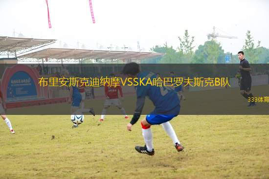 布里安斯克迪納摩VSSKA哈巴羅夫斯克B隊