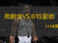 弗賴堡VS多特蒙德