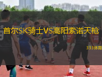 首爾SK騎士VS高陽(yáng)索諾天槍