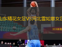 山東精花女足VS河北雪如意女足