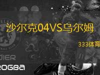 沙爾克04VS烏爾姆
