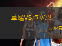 草蜢VS盧塞恩