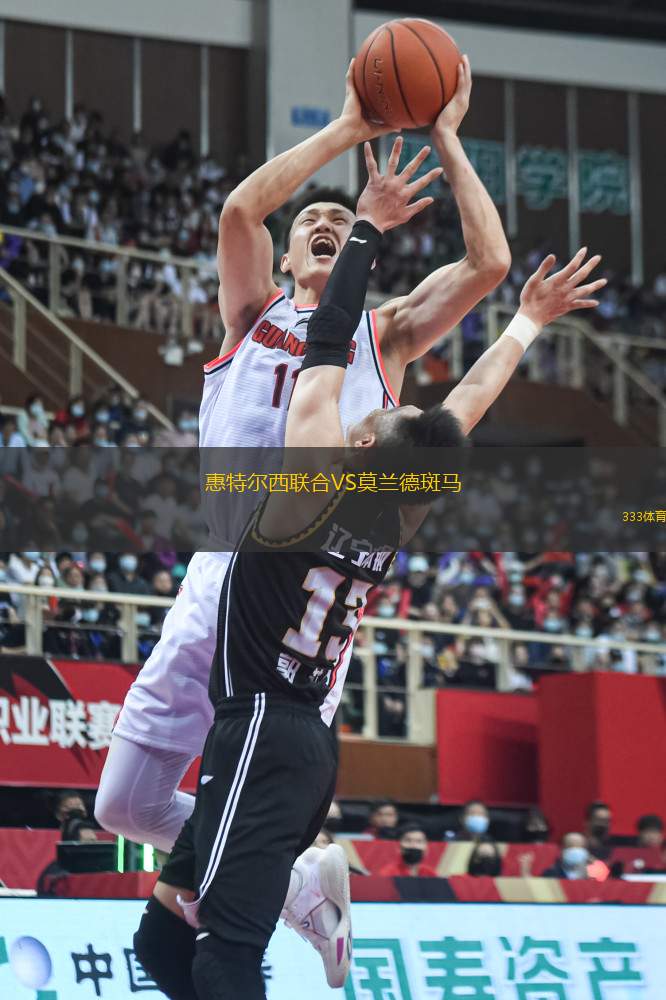 惠特爾西聯(lián)合VS莫蘭德斑馬