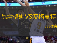 瓦雷格姆VS波格豪特