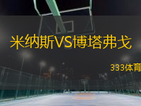 米納斯VS博塔弗戈