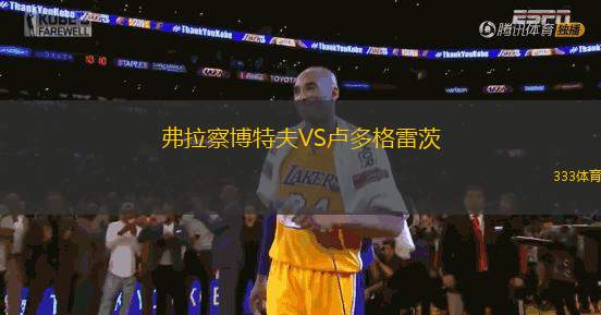 弗拉察博特夫VS盧多格雷茨
