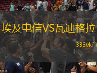 埃及電信VS瓦迪格拉