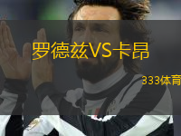 羅德茲VS卡昂