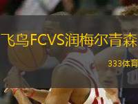 飛鳥FCVS潤梅爾青森