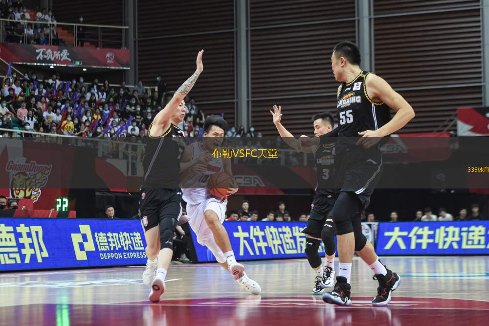 布勒VSFC天堂