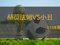 赫莫法姆VS小丑