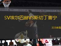 SV埃爾巴赫VS斯切丁喜寧