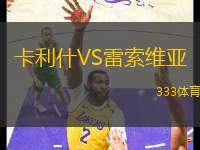 卡利什VS雷索維亞