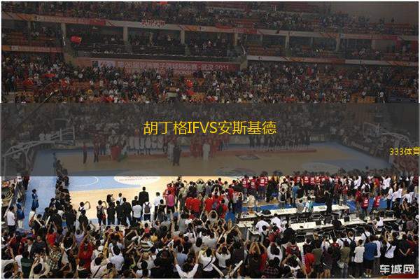 胡丁格IFVS安斯基德