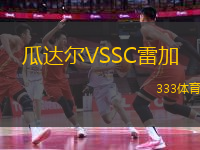 瓜達(dá)爾VSSC雷加
