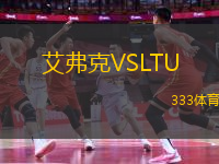 艾弗克VSLTU