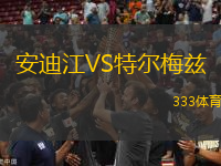 安迪江VS特爾梅茲