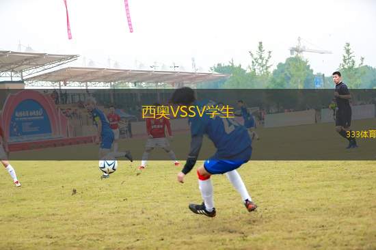 西奧VSSV學(xué)生