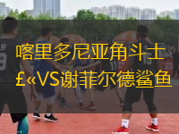喀里多尼亞角斗士VS謝菲爾德鯊魚