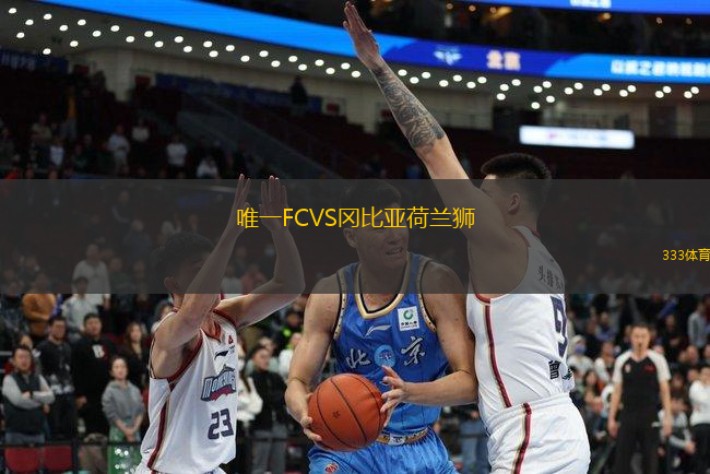唯一FCVS岡比亞荷蘭獅