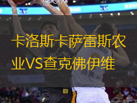 卡洛斯卡薩雷斯農(nóng)業(yè)VS查克佛伊維